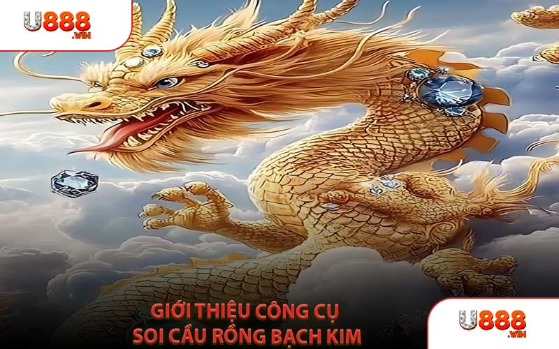 Giới Thiệu Công Cụ Soi Cầu Rồng Bạch Kim